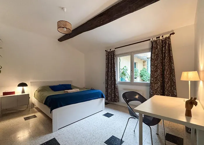 En Centre Avec Jacuzzi Guest house