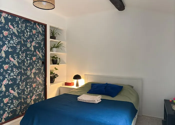 En Centre Avec Jacuzzi 3*